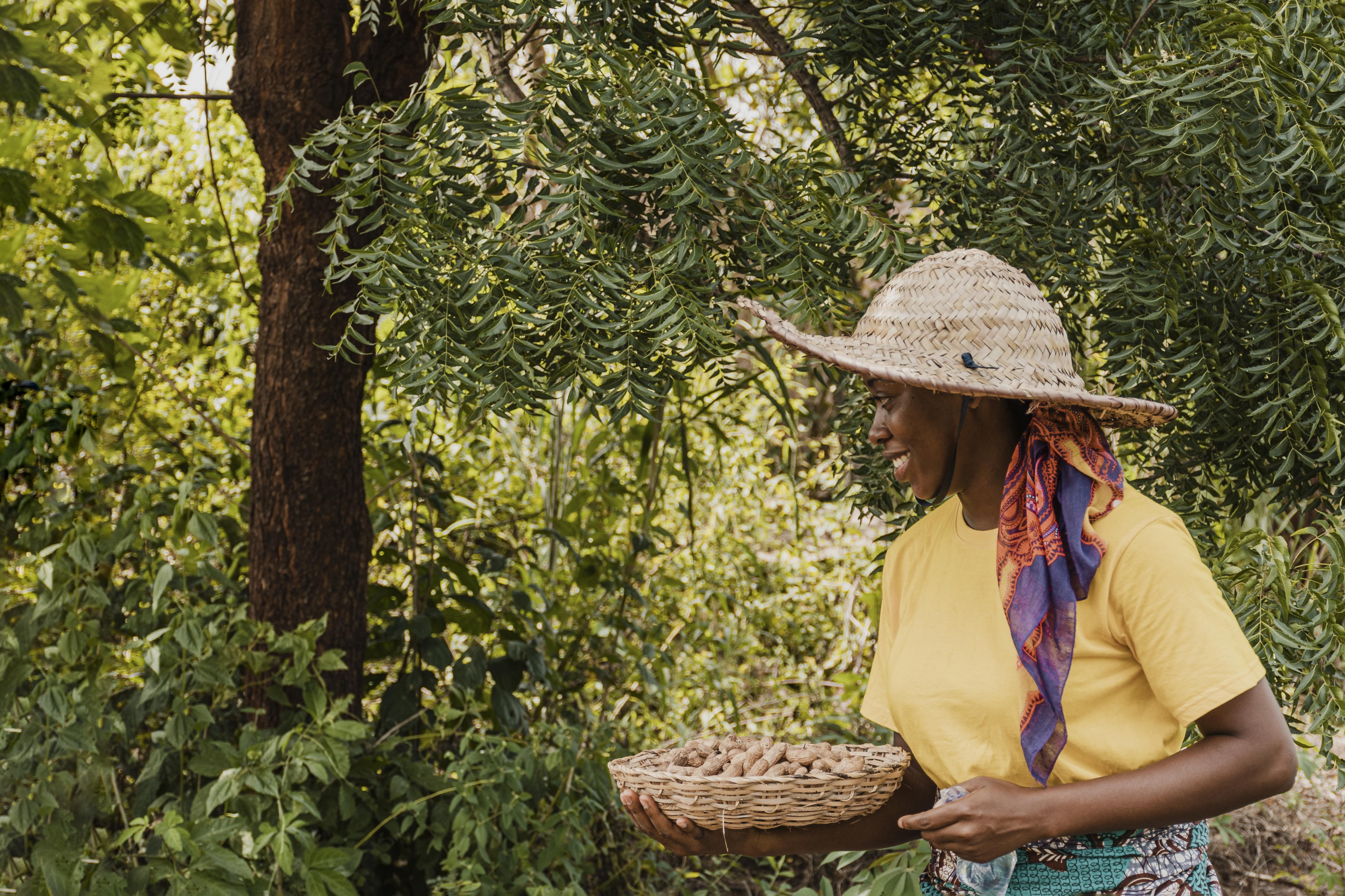 Empowering Ghana’s Women: The Heart of the Shea Value Chain